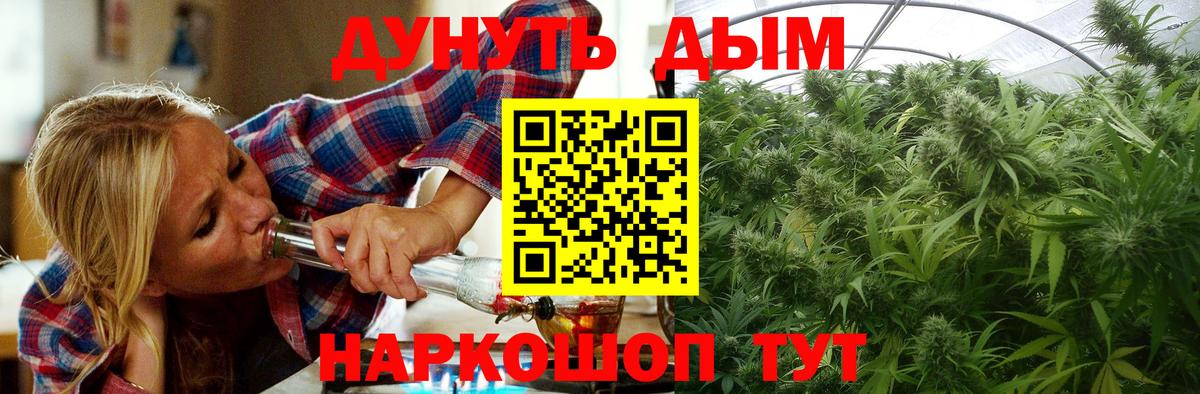 Шишки марихуана White Widow  МАРИХУАНА SATIVA & INDICA  Электрогорск  Вход с VPN  Конопля гибрид  Бошки марихуана OG Kush 